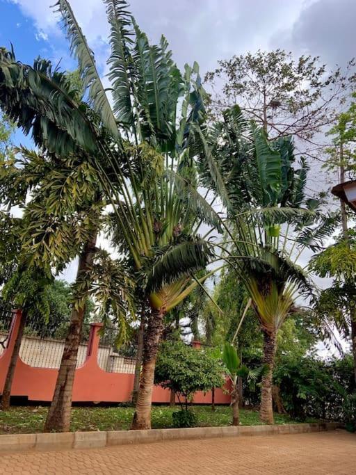 Bungalow X Garten & Terrasse X Wlan X Europaeisch Моши Экстерьер фото